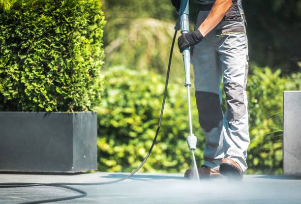 Best Fence Cleaning  in Shiloh, PA